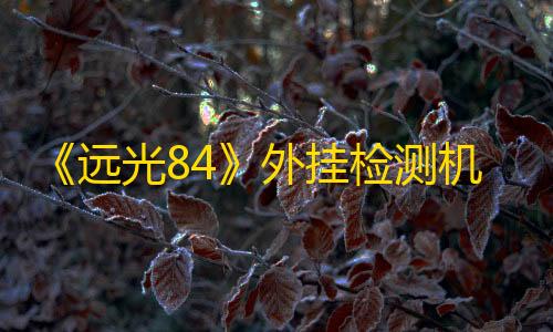 100%和平精英卡无人防《远光84》外挂检测机制的停滞：从技术承诺到运营困局